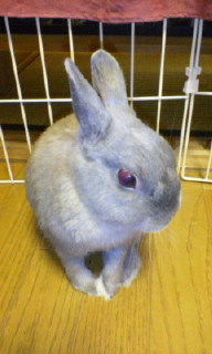 20061225235429.jpg